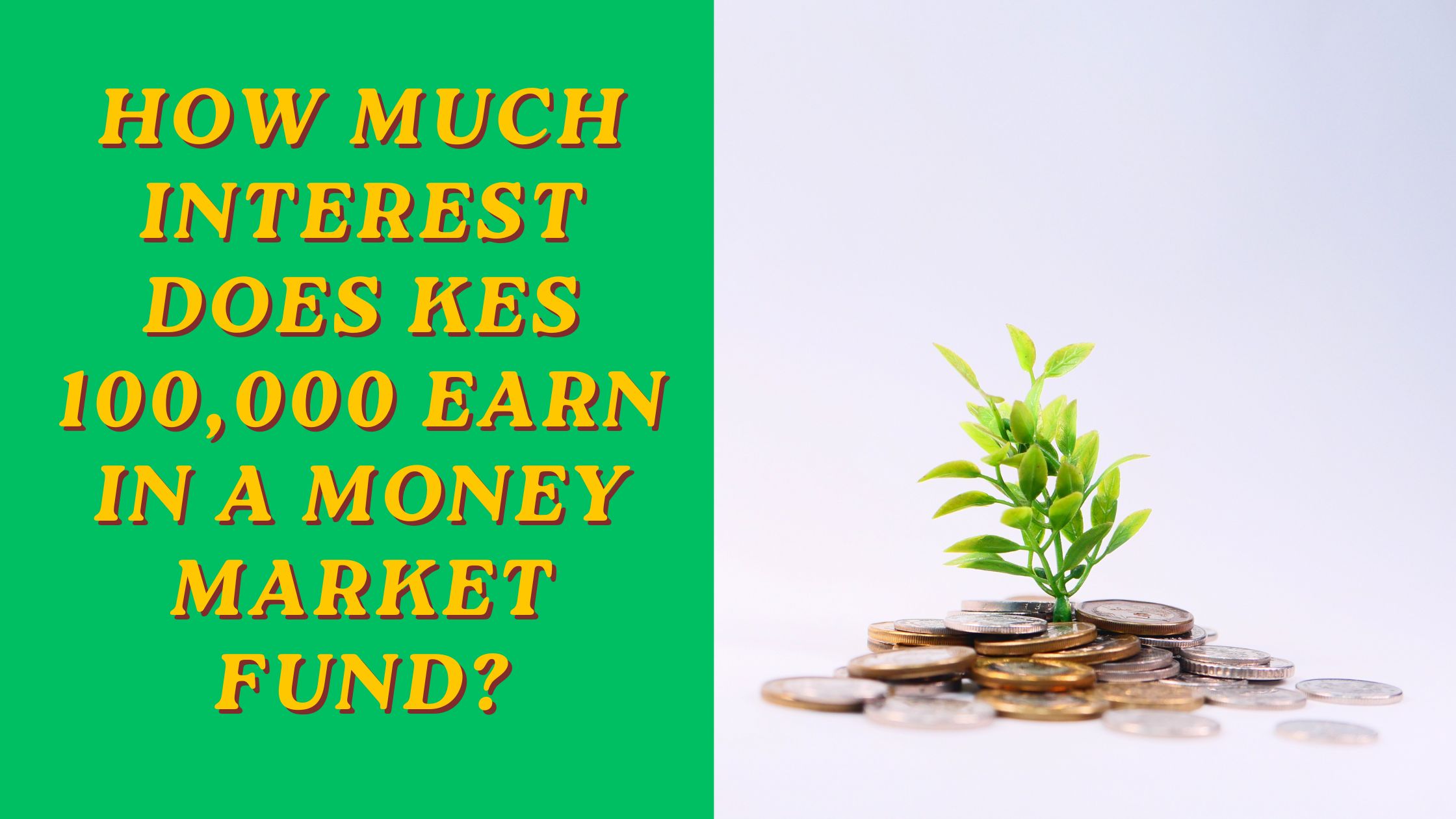 How Much Interest Does KES 100,000 Earn in a Money Market Fund?